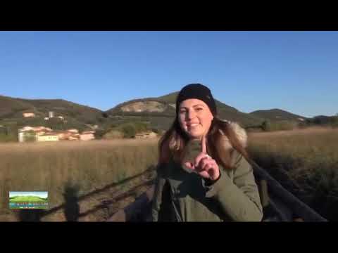 Tra le sponde e le pendici a cura di Paolo Del Ry con Francesca Franceschi
