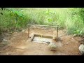 Creative Unique Quail Bird Trap Using Hole How To Build Deep Hole Bird Trap