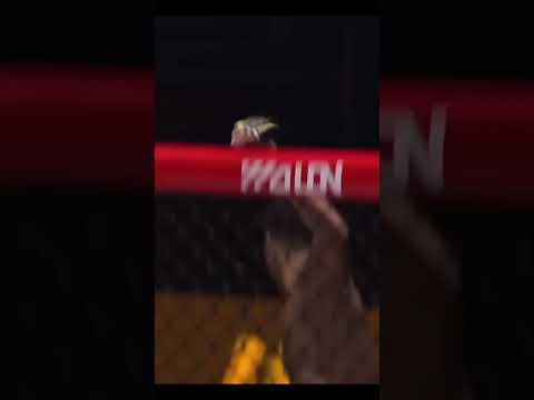 🇨🇳Zhahaer by Twister- WLF MMA 62 #mma