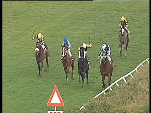 Galoppo 24/02/2018 - 1ª corsa