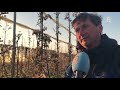 Fruitteler besproeit appeltjes voor de vorst