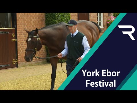 Frankel the stallion: The story so far