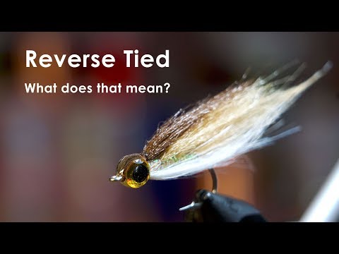 Reverse Tied Minnow - UNDERWATER FOOTAGE - McFly Angler Fly Tying Tutorials