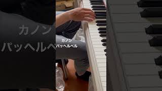 Download lagu カノン パッヘルベル(独学) mp3 Download lagu カノン パッヘルベル(独学) mp3