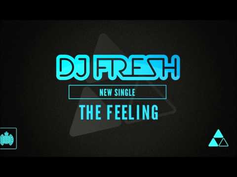 Dj Fresh ft RaVaughn The Feeling  [Lyric in desc]