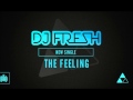 Dj Fresh ft RaVaughn The Feeling [Lyric in desc ...