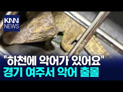 함부로 방생하지 맙시다