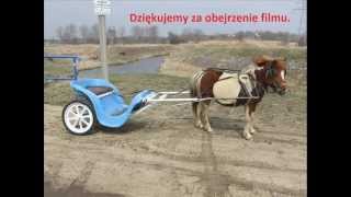 preview picture of video 'Kucyk Koń Bryczka Horse Horse Carriage Pony 馬 馬駒'