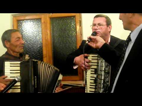 Fratii de la Cotofenesti