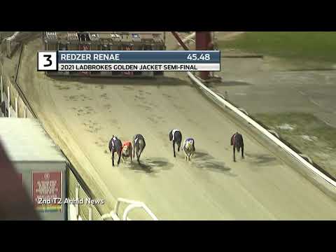2021 LADBROKES GOLDEN JACKET - 3RD SEMI - T3 REDZER RENAE