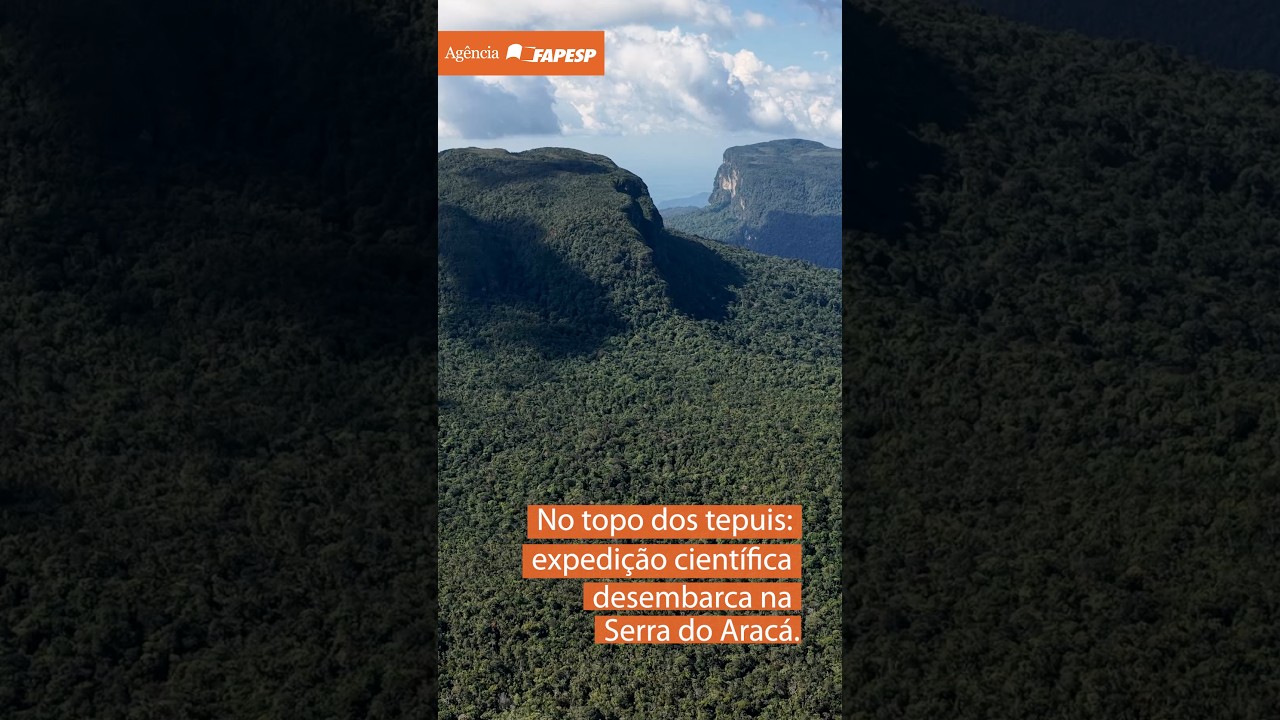 Expedição científica começa a revelar a biodiversidade da Serra do Aracá