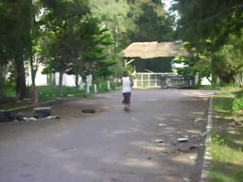 niqito y su mono patin ajaj