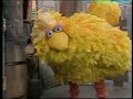 Classic Sesame Street An Anything Muppet Boy Big Bird Luis And David Tall And Short 1975
