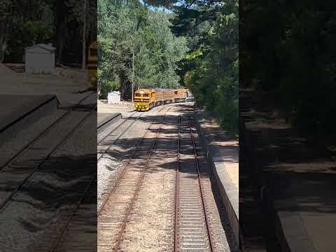 TRAINS AM22 Aurizon Grain Train comes to a careful halt for a crew change at Mt Lofty 16/01/23