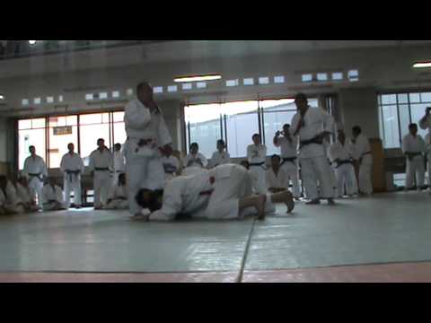UDE HISHIGI HIZA GATAME, ASHI GARAMI