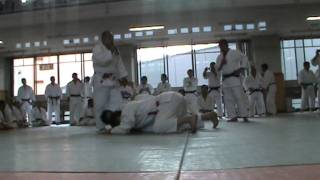 UDE HISHIGI HIZA GATAME, ASHI GARAMI