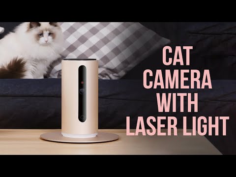 5 Best Cat Camera with Laser