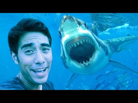 Zach King Vine and Tik Tok Compilation 2020 - Best Magic Vines !!! (Part 13)