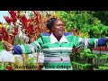 6 TUTAFIKA MBINGUNI BY JACKLINE SITIMA