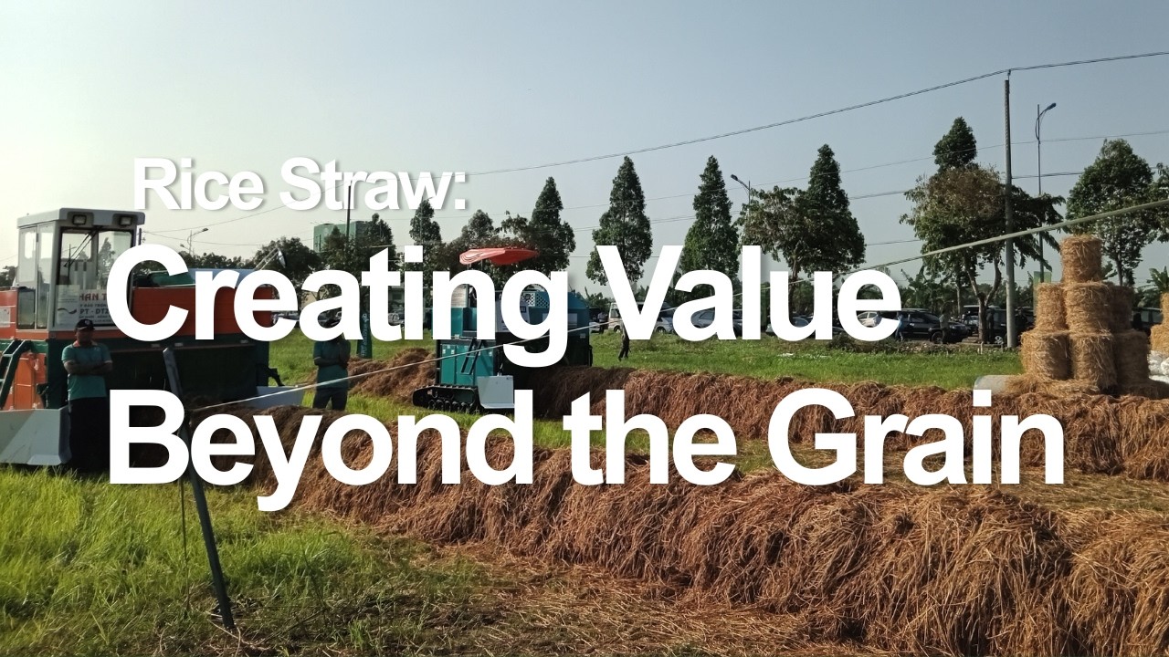 Rice Straw: Creating Value Beyond the Grain