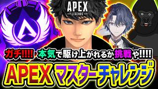 【APEXランク】魂のマスターチャレンジ！本気で駆け上がるしかないですわ！ガチで頑張るゾ編。小柳ロウ, バーチャルゴリラ【ハセシン】Apex Legends