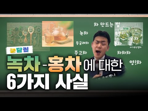 차, 당신이 몰랐던 6가지 사실 | 농담짚