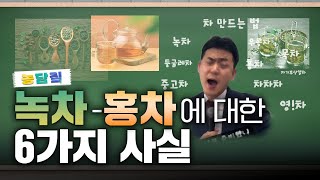 차, 당신이 몰랐던 6가지 사실 | 농담짚