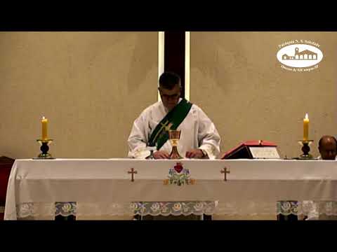 Missa Diária 12-06-2020