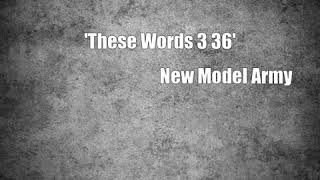 'These Words 3 36' (New Model Army Cover)