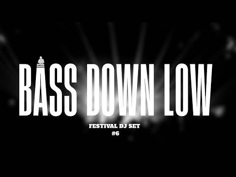 Festival DJ Set | Bass Down Low Podcast | #6