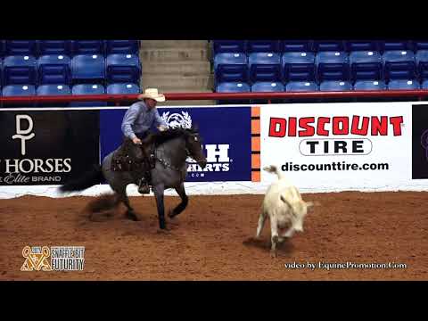 Plain Catty ridden by Jake D. Gorrell  - 2017 Snaffle Bit Futurity (Cow Work, Open)