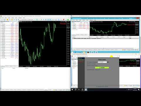 Video Flash Copy MT5