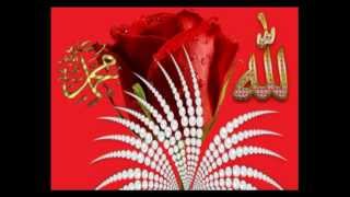 Abdurrahman Önül - Acilsinda Yollar sana geleyim