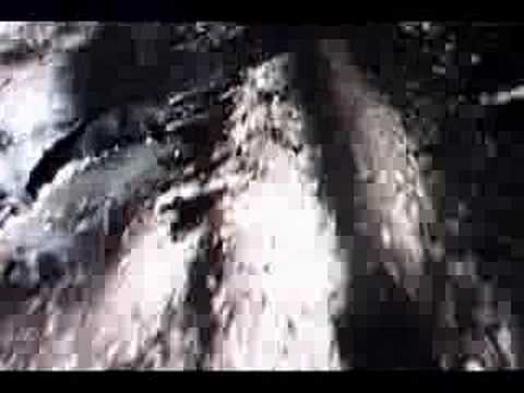 Till the pigs come round