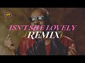 Isn T She Lovely Remix