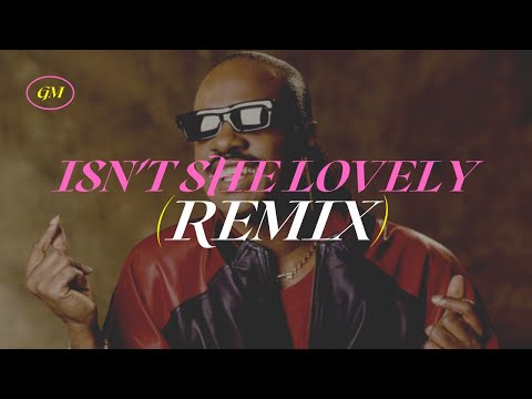 Isn't She Lovely (Remix)