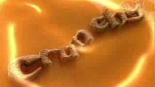 They're kind of Rolo-ish, but in a good way. They're tiny chocolate squares, with some cookie and then a caramel center. The key is to eat about 15 in a row, and then all the flavors come together in a really amazing way until your mouth is basically just coated with a layer of caramel and you can't feel anything but happiness.