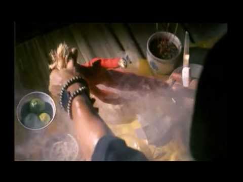 Video $Pontianak Menjerit