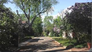 May Erlewine- I Love This City