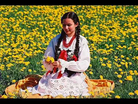 download lagu mp3 mp4 Polish Folk Songs, download lagu Polish Folk Songs gratis, unduh video klip Download Polish Folk Songs Mp3 dan Mp4 Popular Gratis