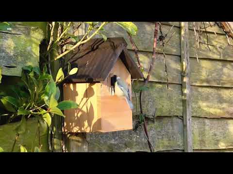 Diramore - Away Ka Eain