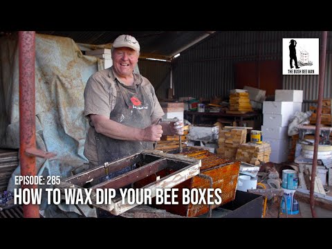 The Benefits of Wax Dipping Bee Boxes & How to Safely Do It | The Bush Bee Man