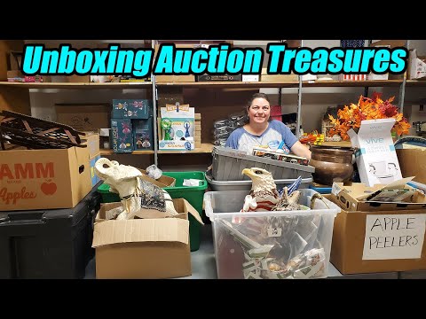 Unboxing Auction Treasures - Why does this plunger look like that? the most amazing paperweights