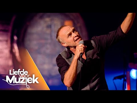 Stef Bos - ‘De Hemel Op Aarde’ | Liefde voor Muziek | seizoen 9 | VTM