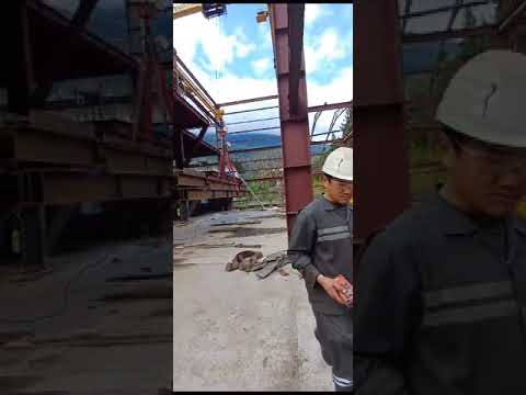 Double Beam EOT Crane