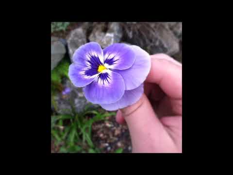 13. NEDARB NAGROM - I DON'T REALLY CARE