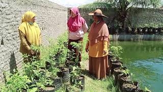 Video Desa 2