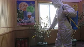 Pjöngjang bestätigt den Ausbruch des Coronavirus im Land