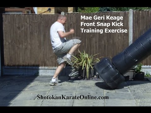 Mae Geri Front Kick Training