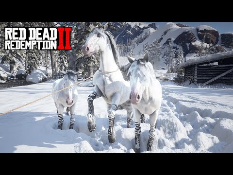 Taming the ZEBRA MUSTANG in the depths of the snowy mountains - The Horse Tamer - 60